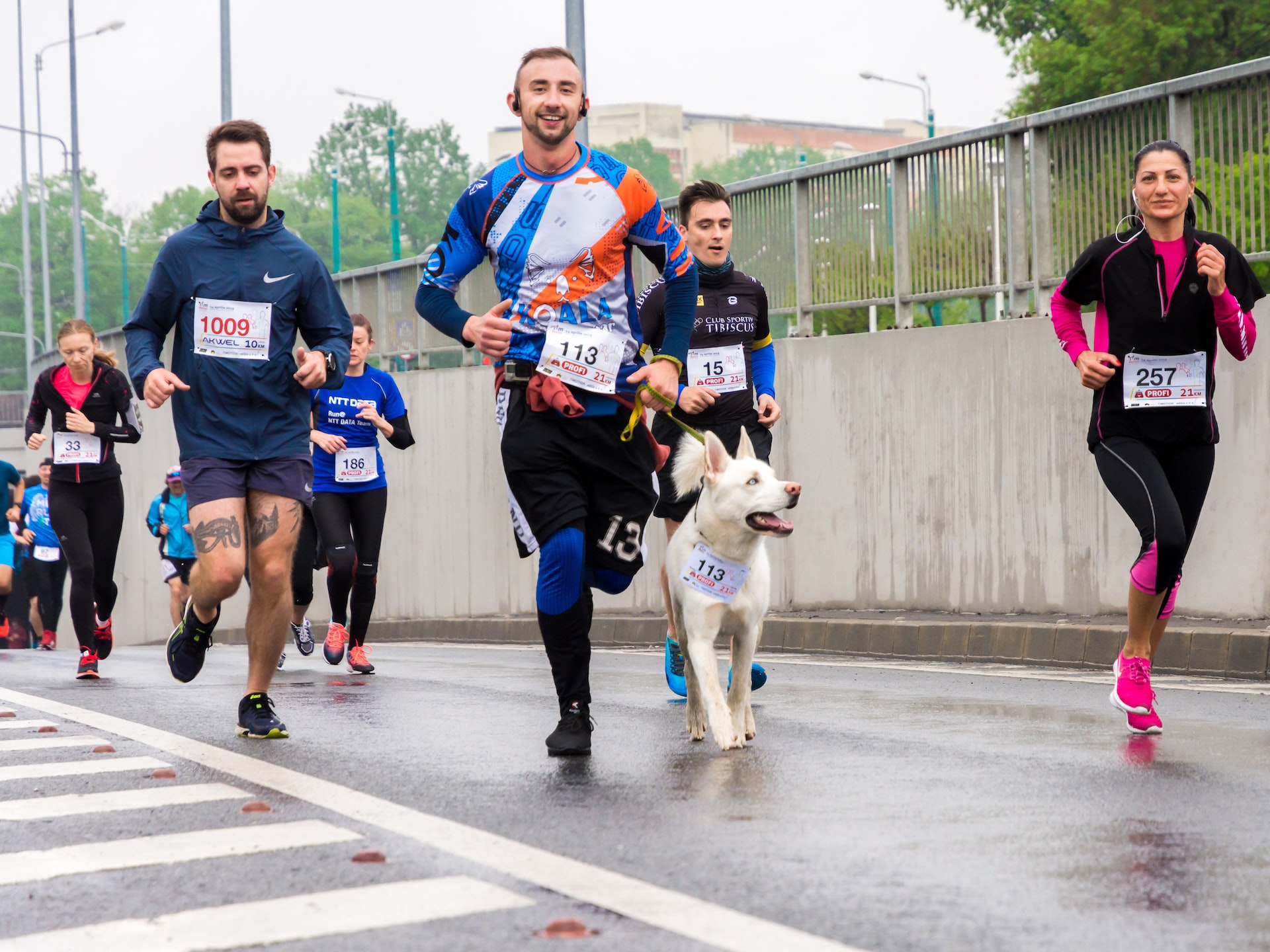 People running in a marathon on the road with a dog